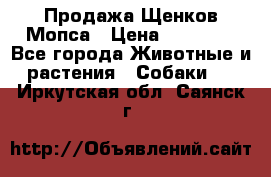 Продажа Щенков Мопса › Цена ­ 18 000 - Все города Животные и растения » Собаки   . Иркутская обл.,Саянск г.